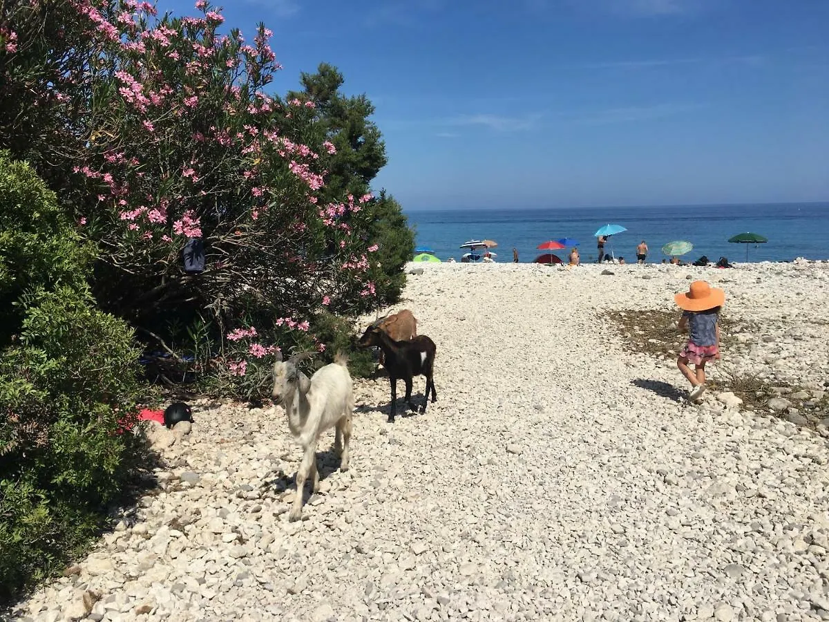 Appartamento Casa M&M Cala Gonone